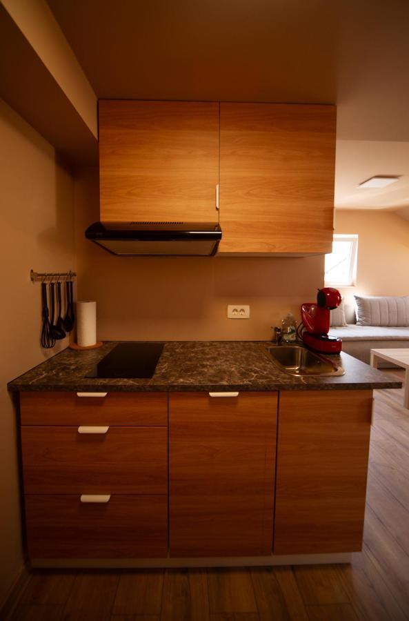 Sport Apartments Radovljica Extérieur photo